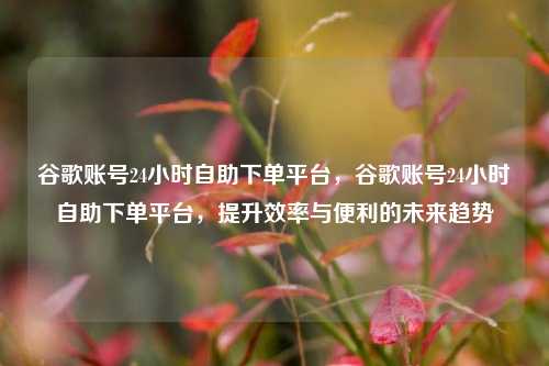 谷歌账号24小时自助下单平台，谷歌账号24小时自助下单平台，提升效率与便利的未来趋势