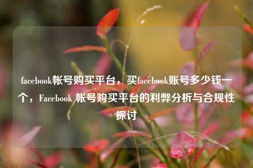 facebook帐号购买平台，买facebook账号多少钱一个，Facebook 帐号购买平台的利弊分析与合规性探讨