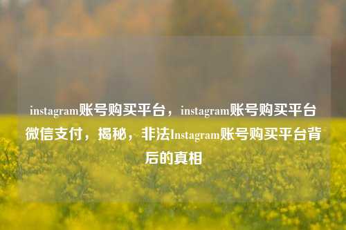 instagram账号购买平台	，instagram账号购买平台微信支付，揭秘，非法Instagram账号购买平台背后的真相  第1张