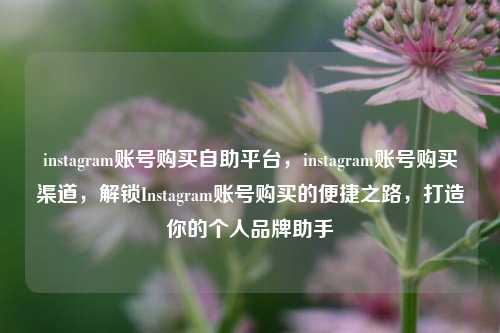 instagram账号购买自助平台，instagram账号购买渠道	，解锁Instagram账号购买的便捷之路，打造你的个人品牌助手  第1张