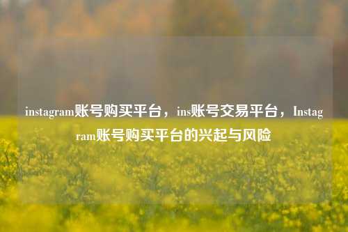 instagram账号购买平台，ins账号交易平台	，Instagram账号购买平台的兴起与风险  第1张
