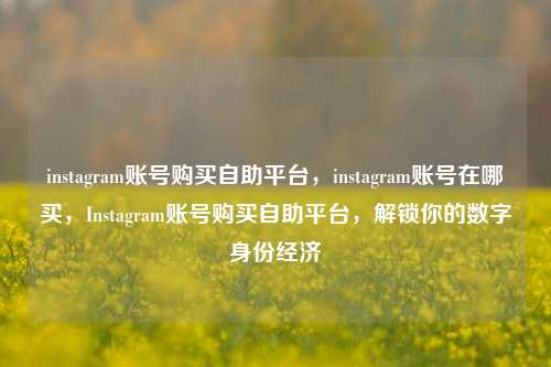 instagram账号购买自助平台，instagram账号在哪买，Instagram账号购买自助平台	，解锁你的数字身份经济  第1张
