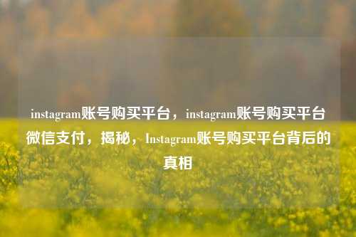 instagram账号购买平台，instagram账号购买平台微信支付，揭秘，Instagram账号购买平台背后的真相