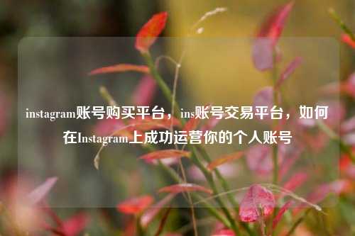 instagram账号购买平台，ins账号交易平台，如何在Instagram上成功运营你的个人账号