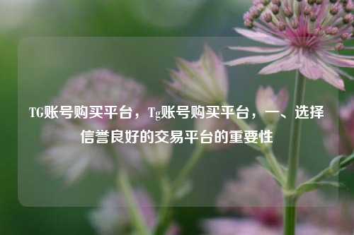 TG账号购买平台，Tg账号购买平台，一、选择信誉良好的交易平台的重要性