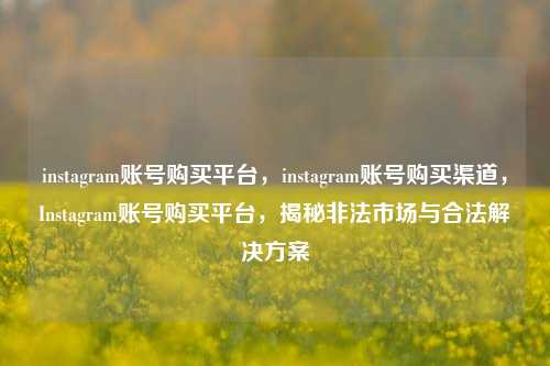 instagram账号购买平台，instagram账号购买渠道，Instagram账号购买平台	，揭秘非法市场与合法解决方案  第1张
