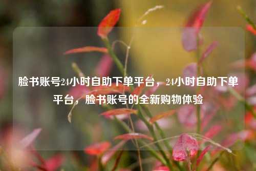 脸书账号24小时自助下单平台，24小时自助下单平台，脸书账号的全新购物体验  第1张