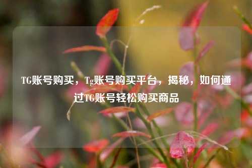 TG账号购买，Tg账号购买平台	，揭秘，如何通过TG账号轻松购买商品  第1张