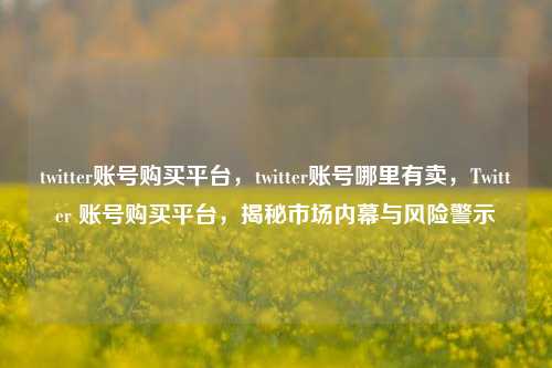 twitter账号购买平台，twitter账号哪里有卖，Twitter 账号购买平台，揭秘市场内幕与风险警示