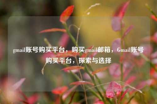 gmail账号购买平台，购买gmail邮箱，Gmail账号购买平台，探索与选择