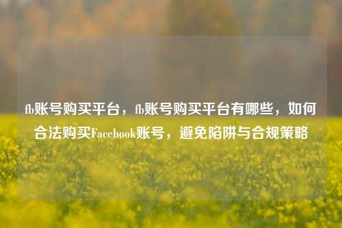fb账号购买平台，fb账号购买平台有哪些	，如何合法购买Facebook账号，避免陷阱与合规策略  第1张