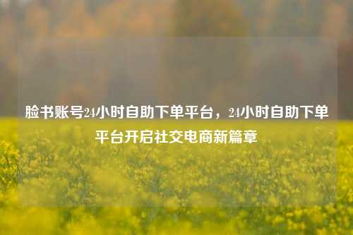脸书账号24小时自助下单平台，24小时自助下单平台开启社交电商新篇章
