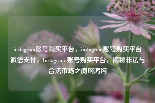 instagram账号购买平台，instagram账号购买平台微信支付，Instagram 账号购买平台，揭秘非法与合法市场之间的鸿沟