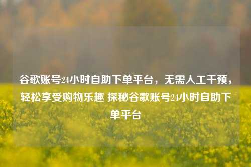 谷歌账号24小时自助下单平台，无需人工干预，轻松享受购物乐趣 探秘谷歌账号24小时自助下单平台