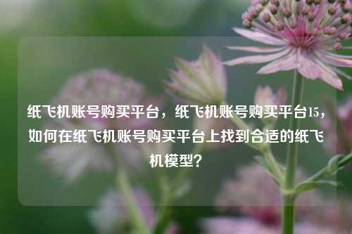 纸飞机账号购买平台，纸飞机账号购买平台15，如何在纸飞机账号购买平台上找到合适的纸飞机模型？