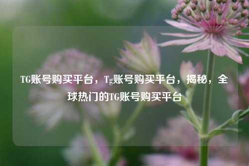 TG账号购买平台，Tg账号购买平台，揭秘，全球热门的TG账号购买平台