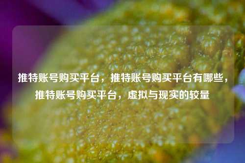 推特账号购买平台，推特账号购买平台有哪些，推特账号购买平台，虚拟与现实的较量