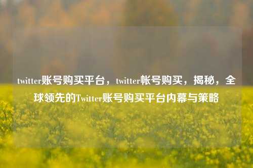 twitter账号购买平台，twitter帐号购买，揭秘，全球领先的Twitter账号购买平台内幕与策略