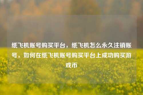 纸飞机账号购买平台，纸飞机怎么永久注销账号，如何在纸飞机账号购买平台上成功购买游戏币