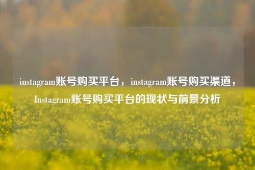 instagram账号购买平台，instagram账号购买渠道	，Instagram账号购买平台的现状与前景分析  第1张