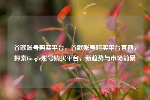 谷歌账号购买平台	，谷歌账号购买平台官网，探索Google账号购买平台，新趋势与市场前景  第1张