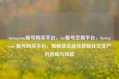 instagram账号购买平台，ins账号交易平台，Instagram 账号购买平台，揭秘非法途径获取社交资产的危险与风险