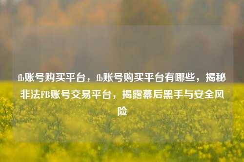 fb账号购买平台，fb账号购买平台有哪些，揭秘非法FB账号交易平台，揭露幕后黑手与安全风险