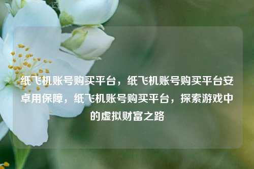 纸飞机账号购买平台，纸飞机账号购买平台安卓用保障，纸飞机账号购买平台，探索游戏中的虚拟财富之路