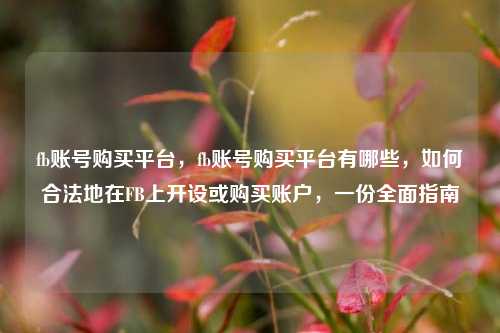 fb账号购买平台	，fb账号购买平台有哪些，如何合法地在FB上开设或购买账户，一份全面指南  第1张