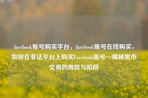 facebook帐号购买平台，facebook账号在线购买，如何在非法平台上购买Facebook账号—揭秘黑市交易的危险与陷阱