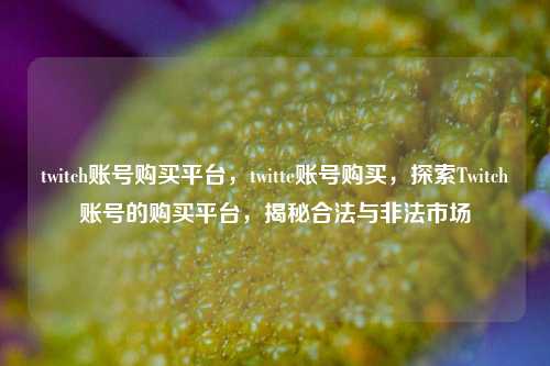 twitch账号购买平台，twitte账号购买，探索Twitch账号的购买平台，揭秘合法与非法市场