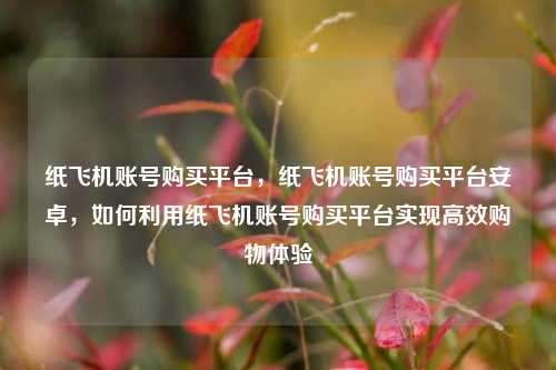 纸飞机账号购买平台，纸飞机账号购买平台安卓，如何利用纸飞机账号购买平台实现高效购物体验