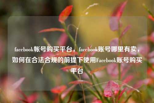 facebook帐号购买平台，facebook账号哪里有卖，如何在合法合规的前提下使用Facebook账号购买平台