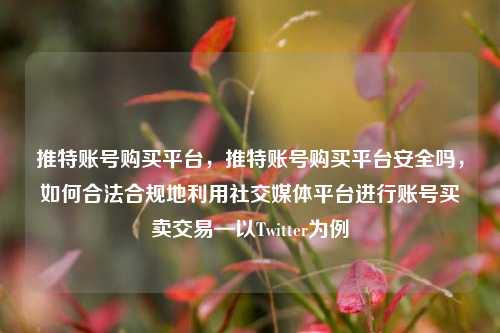 推特账号购买平台，推特账号购买平台安全吗	，如何合法合规地利用社交媒体平台进行账号买卖交易—以Twitter为例  第1张