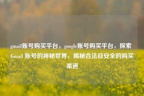 gmail账号购买平台，google账号购买平台，探索 Gmail 账号的神秘世界，揭秘合法且安全的购买渠道