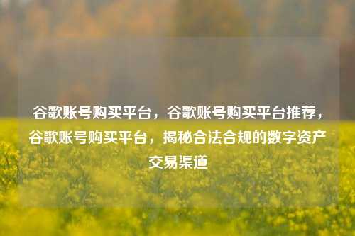 谷歌账号购买平台，谷歌账号购买平台推荐，谷歌账号购买平台，揭秘合法合规的数字资产交易渠道