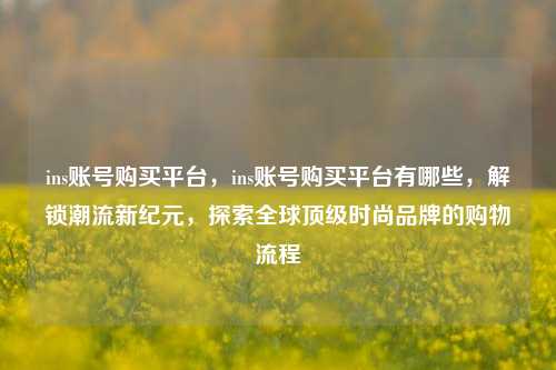ins账号购买平台，ins账号购买平台有哪些，解锁潮流新纪元，探索全球顶级时尚品牌的购物流程