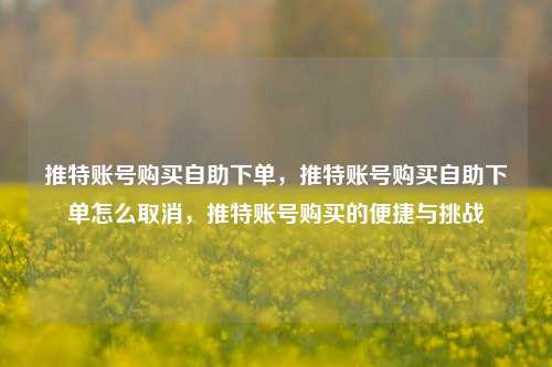 推特账号购买自助下单，推特账号购买自助下单怎么取消，推特账号购买的便捷与挑战