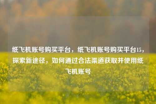 纸飞机账号购买平台，纸飞机账号购买平台15，探索新途径，如何通过合法渠道获取并使用纸飞机账号
