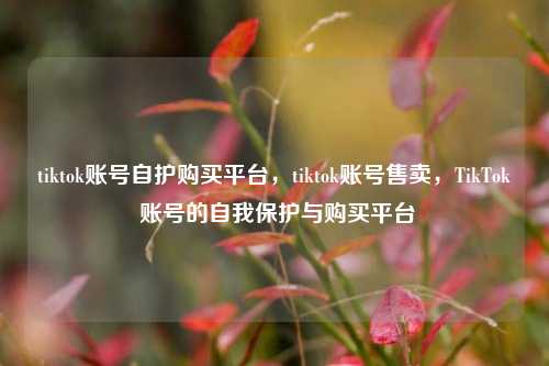 tiktok账号自护购买平台，tiktok账号售卖	，TikTok 账号的自我保护与购买平台  第1张