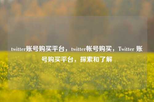 twitter账号购买平台，twitter帐号购买，Twitter 账号购买平台，探索和了解
