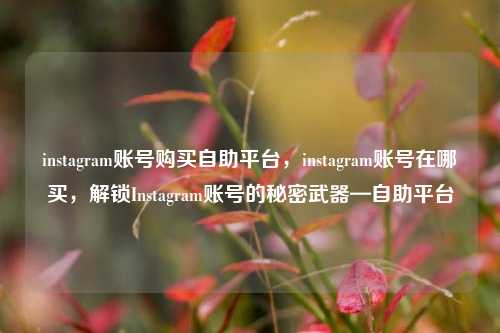 instagram账号购买自助平台，instagram账号在哪买	，解锁Instagram账号的秘密武器—自助平台  第1张