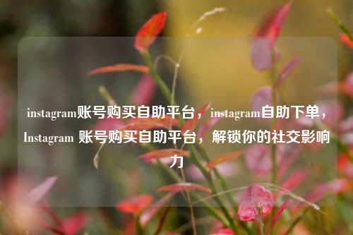 instagram账号购买自助平台，instagram自助下单，Instagram 账号购买自助平台，解锁你的社交影响力