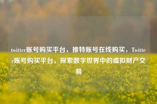 twitter账号购买平台，推特账号在线购买，Twitter账号购买平台，探索数字世界中的虚拟财产交易