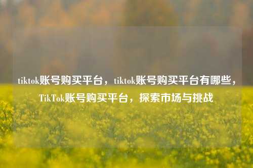 tiktok账号购买平台，tiktok账号购买平台有哪些	，TikTok账号购买平台，探索市场与挑战  第1张