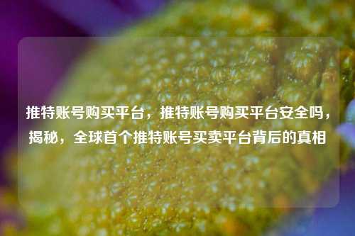 推特账号购买平台，推特账号购买平台安全吗，揭秘，全球首个推特账号买卖平台背后的真相