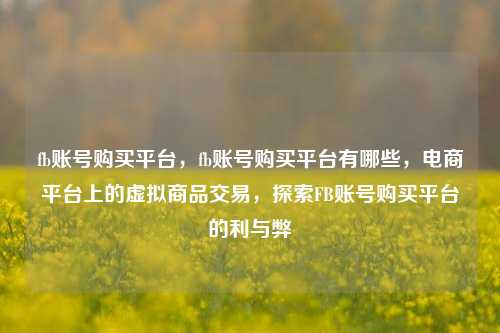 fb账号购买平台，fb账号购买平台有哪些，电商平台上的虚拟商品交易，探索FB账号购买平台的利与弊