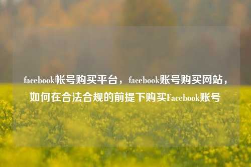 facebook帐号购买平台，facebook账号购买网站，如何在合法合规的前提下购买Facebook账号