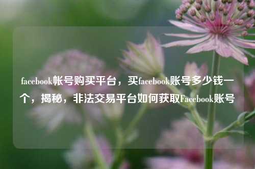 facebook帐号购买平台，买facebook账号多少钱一个，揭秘，非法交易平台如何获取Facebook账号