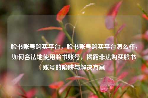 脸书账号购买平台，脸书账号购买平台怎么样，如何合法地使用脸书账号，揭露非法购买脸书账号的陷阱与解决方案